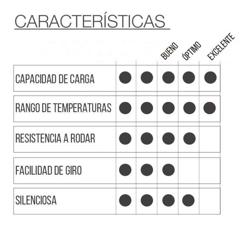 RUEDA TPB2 con freno - Imagen 2