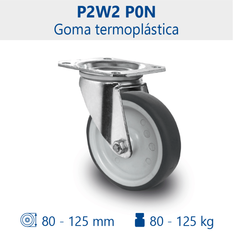 Rueda P2W2 P0N