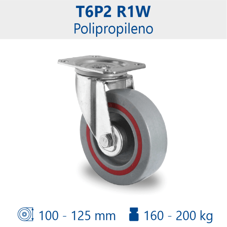 Rueda T6P2 R1W