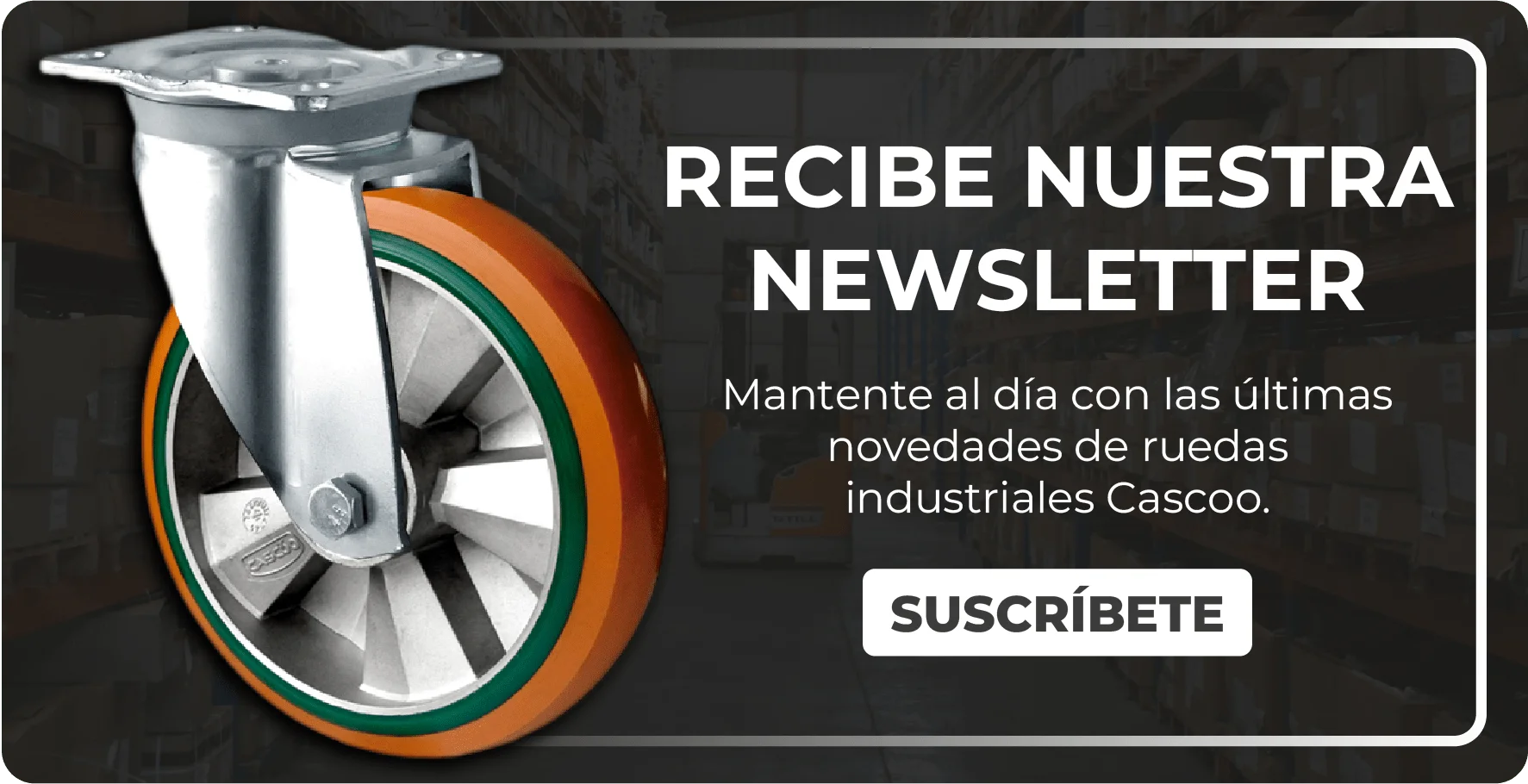 Suscríbete a la newsletter de Cascoo