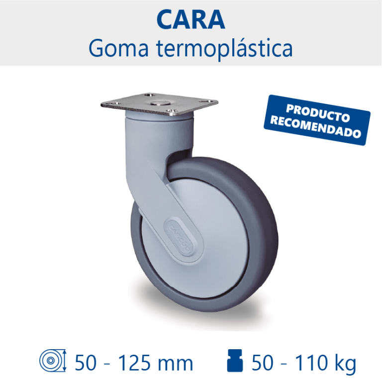 Rueda CARA