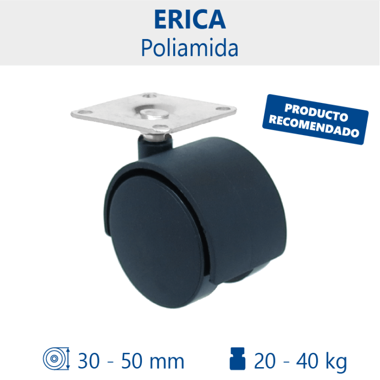 Rueda ERICA